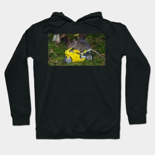 biker mouse on yellow bike Hoodie